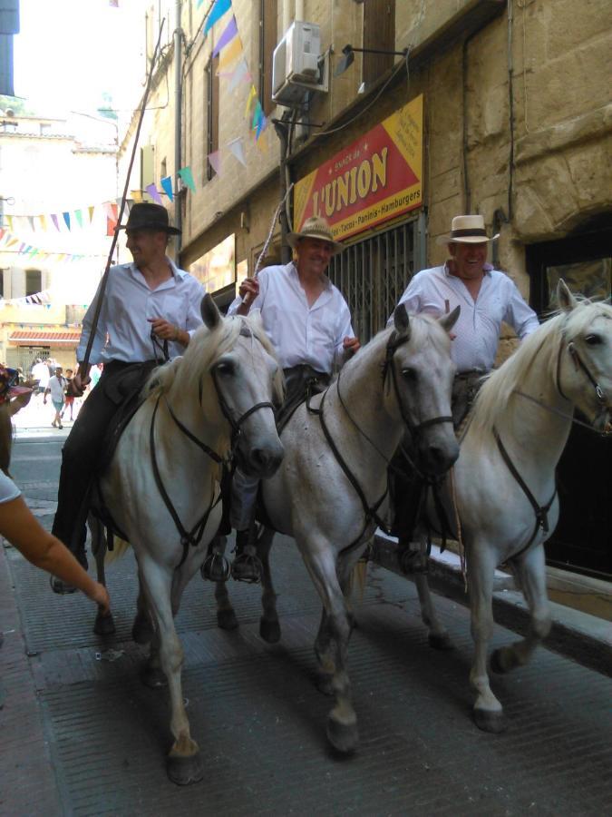 Camargue Βίλα Beauvoisin  Εξωτερικό φωτογραφία